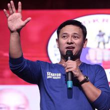 ANGARA URGES MORE SUPPORT FOR ORGANIC FARMERS